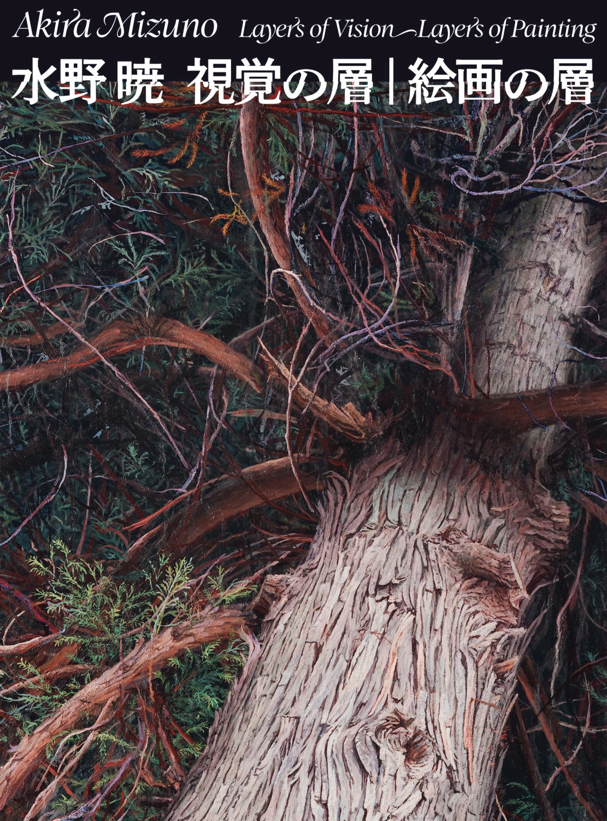 「水野 暁　視覚の層｜絵画の層」 作品集